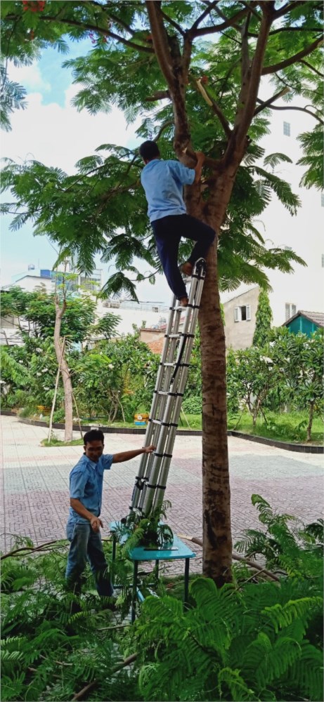 Ảnh đại diện